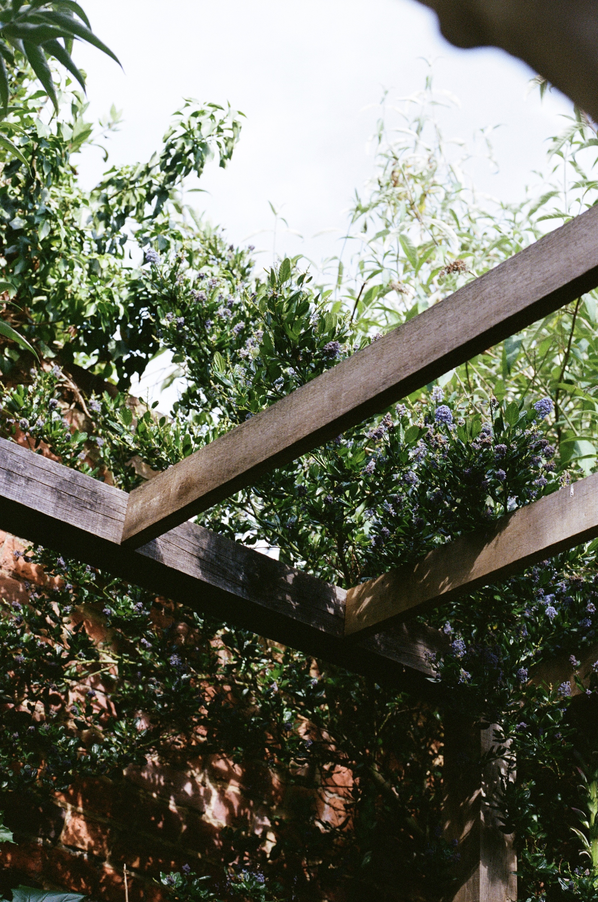 Project image 5