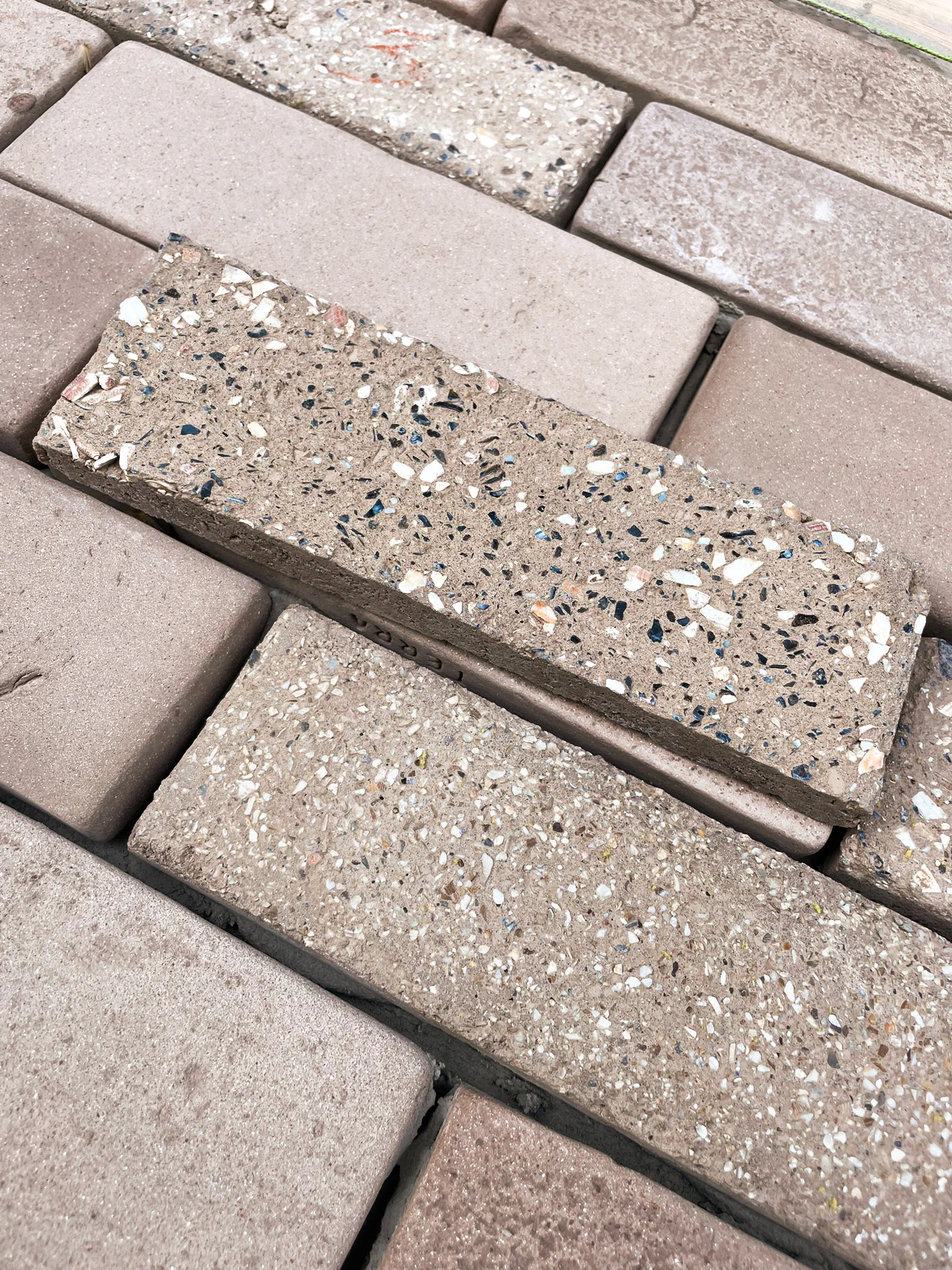 Oyster Shell Tiles