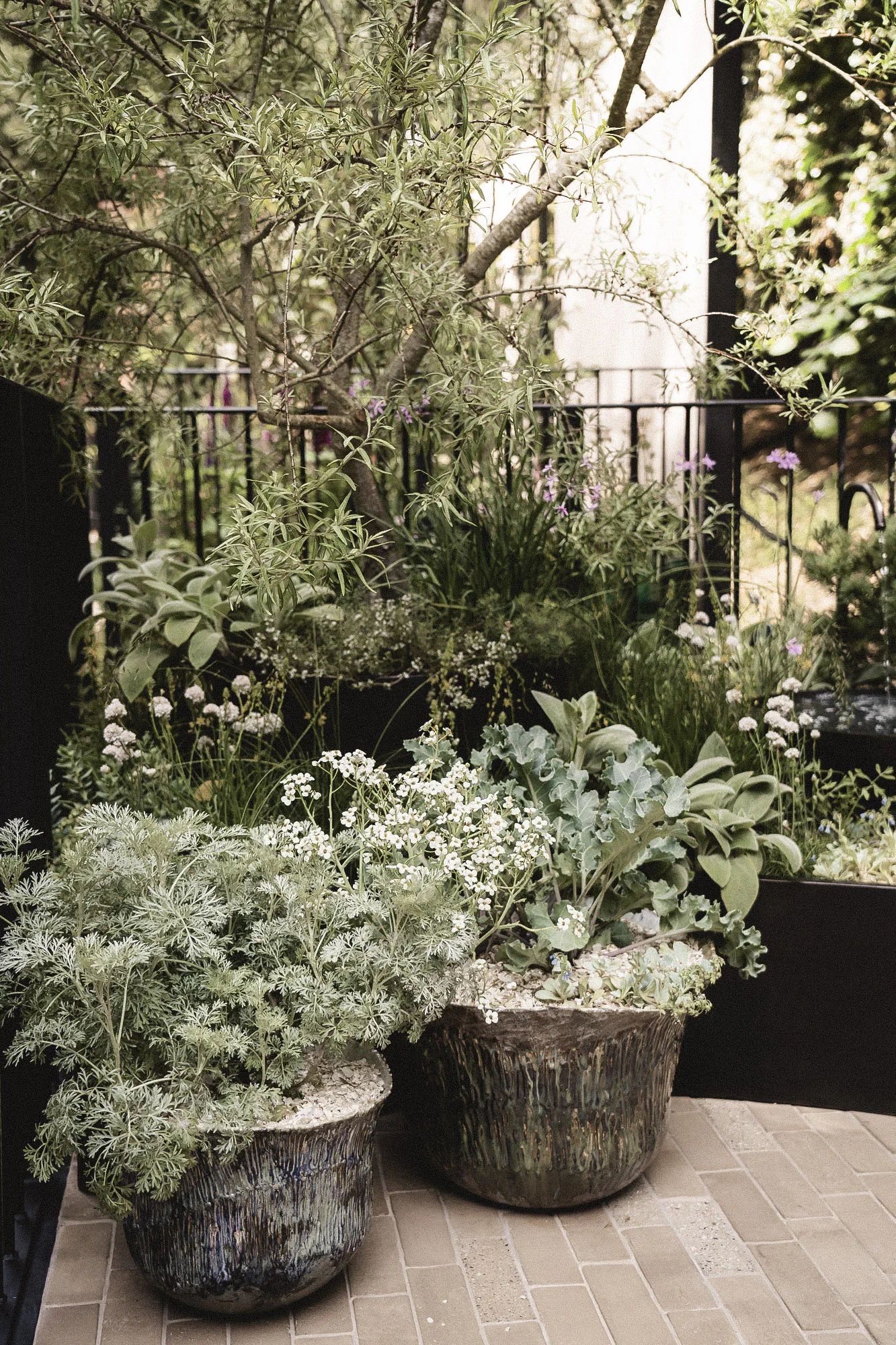 Navium Marine Blue Mind Garden at RHS Chelsea 2025 — handmade shell pots of silvery artemisia and sea kale beneath sea buckthorn, on a floor of shell tiles