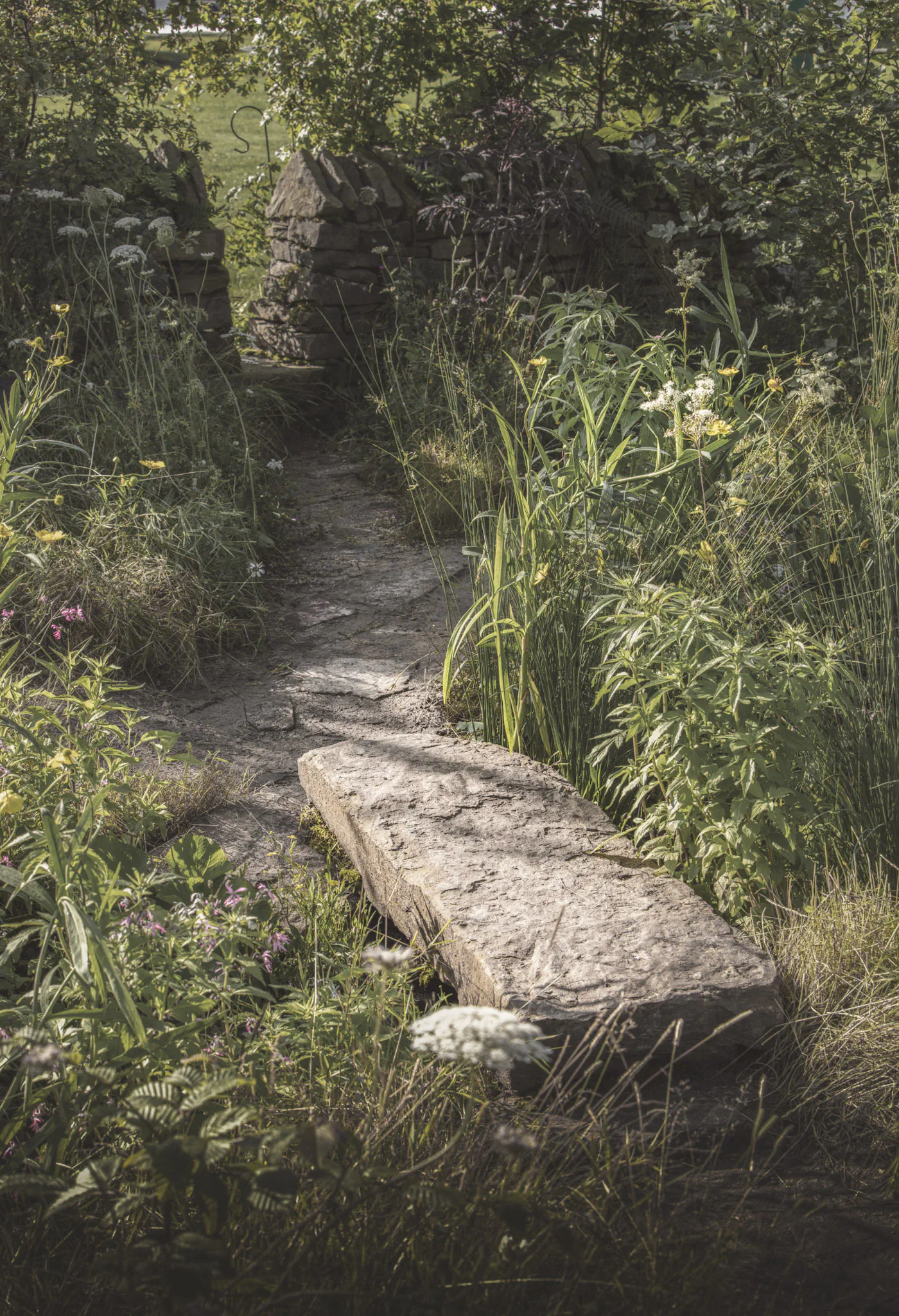 Stone slab crossing the meadow path towards a gap in a dry stone wall