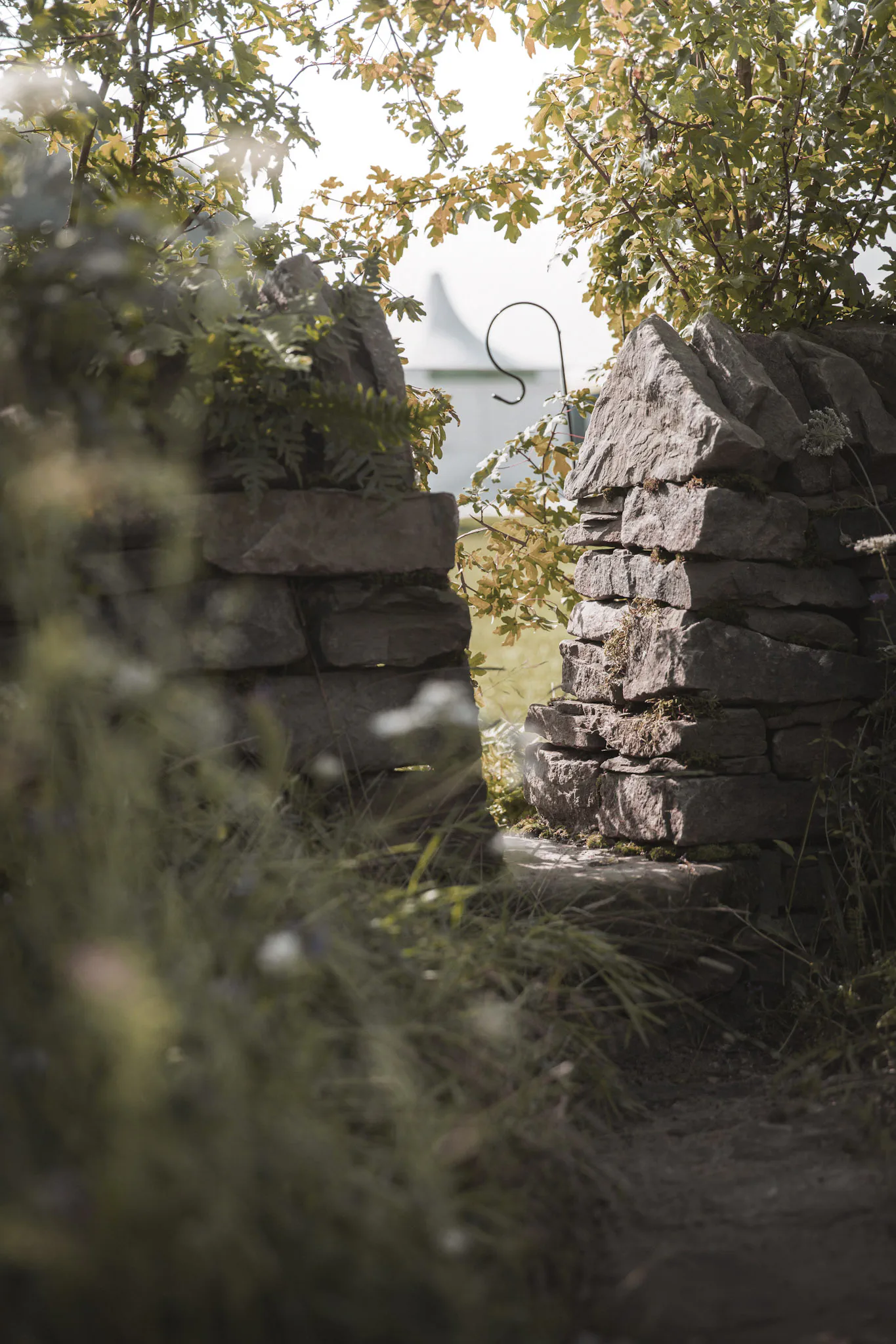 A path leading through a gap in the dry stone wall, beneath hawthorn